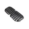 Grill carbon CM Style BMW X7 G07